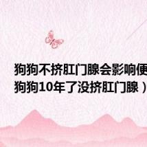 狗狗不挤肛门腺会影响便便吗（狗狗10年了没挤肛门腺）