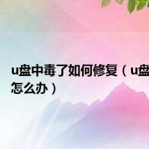 u盘中毒了如何修复（u盘中毒了怎么办）