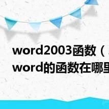 word2003函数（2010word的函数在哪里）