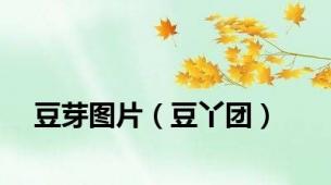 豆芽图片（豆丫团）