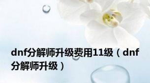 dnf分解师升级费用11级（dnf分解师升级）