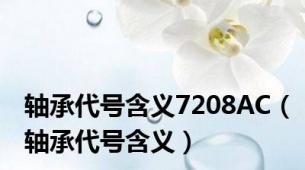 轴承代号含义7208AC（轴承代号含义）