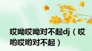 哎呦哎呦对不起dj（哎哟哎哟对不起）