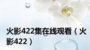 火影422集在线观看（火影422）