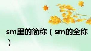 sm里的简称（sm的全称）