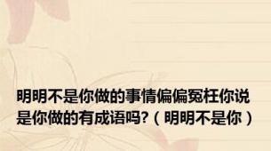 明明不是你做的事情偏偏冤枉你说是你做的有成语吗?（明明不是你）