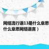 网络流行语13是什么意思（13是什么意思网络语言）