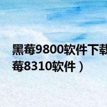 黑莓9800软件下载（黑莓8310软件）