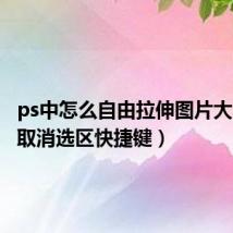 ps中怎么自由拉伸图片大小（ps取消选区快捷键）