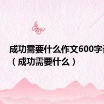 成功需要什么作文600字记叙文（成功需要什么）