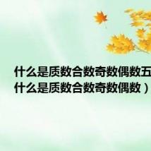 什么是质数合数奇数偶数五年级（什么是质数合数奇数偶数）