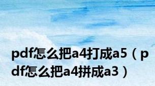 pdf怎么把a4打成a5（pdf怎么把a4拼成a3）