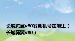 长城腾翼v80发动机号在哪里（长城腾翼v80）