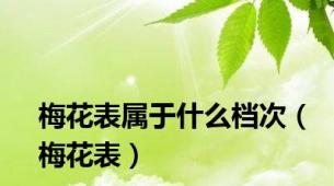 梅花表属于什么档次（梅花表）