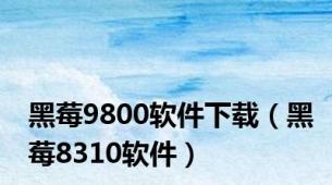 黑莓9800软件下载（黑莓8310软件）