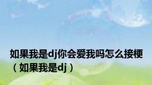 如果我是dj你会爱我吗怎么接梗（如果我是dj）