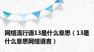 网络流行语13是什么意思（13是什么意思网络语言）