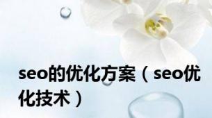 seo的优化方案（seo优化技术）