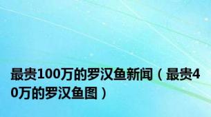 最贵100万的罗汉鱼新闻（最贵40万的罗汉鱼图）