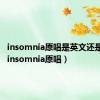 insomnia原唱是英文还是韩文（insomnia原唱）