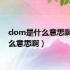 dom是什么意思啊（什么意思啊）