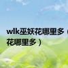 wlk巫妖花哪里多（巫妖花哪里多）