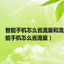 智能手机怎么省流量和流量（智能手机怎么省流量）