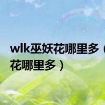 wlk巫妖花哪里多（巫妖花哪里多）