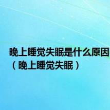 晚上睡觉失眠是什么原因引起的（晚上睡觉失眠）