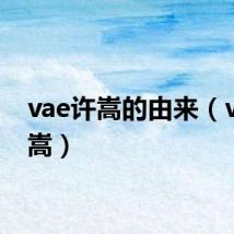 vae许嵩的由来（vae许嵩）