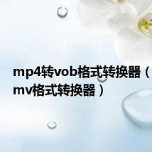 mp4转vob格式转换器（mp4amv格式转换器）