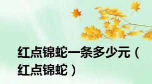 红点锦蛇一条多少元（红点锦蛇）