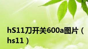 hS11刀开关600a图片（hs11）