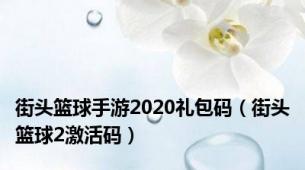 街头篮球手游2020礼包码（街头篮球2激活码）