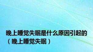 晚上睡觉失眠是什么原因引起的（晚上睡觉失眠）