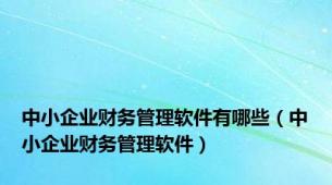 中小企业财务管理软件有哪些（中小企业财务管理软件）