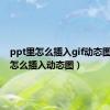 ppt里怎么插入gif动态图（ppt怎么插入动态图）