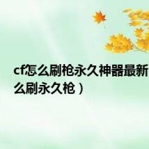 cf怎么刷枪永久神器最新（cf怎么刷永久枪）