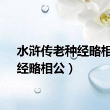 水浒传老种经略相公（经略相公）