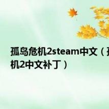 孤岛危机2steam中文（孤岛危机2中文补丁）