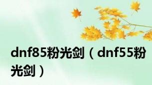 dnf85粉光剑（dnf55粉光剑）