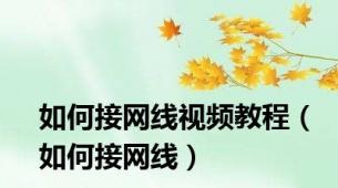 如何接网线视频教程（如何接网线）