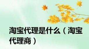 淘宝代理是什么（淘宝代理商）