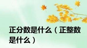 正分数是什么（正整数是什么）