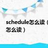 schedule怎么读（day怎么读）