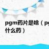 pgm药片是啥（pgm是什么药）