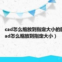 cad怎么缩放到指定大小的图形（cad怎么缩放到指定大小）