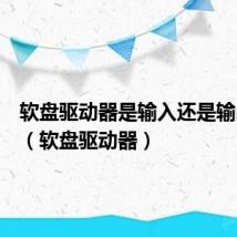 软盘驱动器是输入还是输出设备（软盘驱动器）