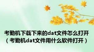 考勤机下载下来的dat文件怎么打开（考勤机dat文件用什么软件打开）