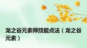 龙之谷元素师技能点法（龙之谷元素）